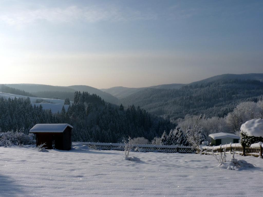 Hoffmanns Hotel Waldfrieden Garni Sankt Andreasberg Exterior foto