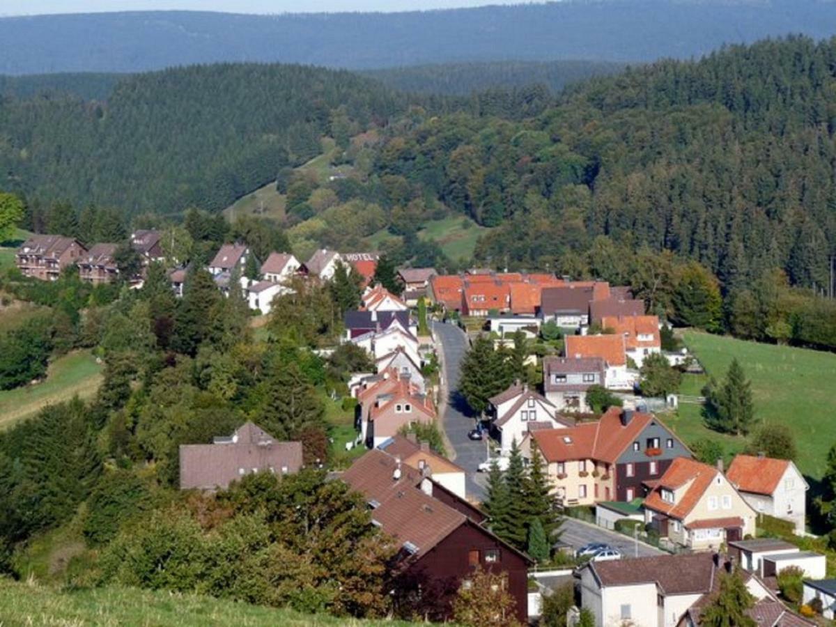 Hoffmanns Hotel Waldfrieden Garni Sankt Andreasberg Exterior foto