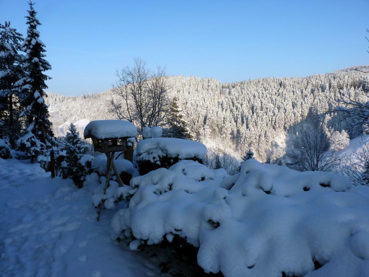 Hoffmanns Hotel Waldfrieden Garni Sankt Andreasberg Exterior foto